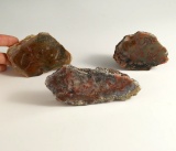 Set of 3 Coprolite Slabs, largest is 4 7/8