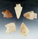Set of 5 Georgia arrowheads, largest is 2 3/4