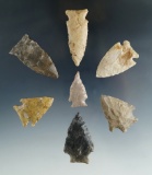 Set of seven assorted Kentucky arrowheads, largest is 1 13/16