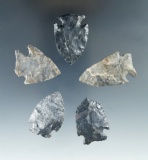 Set of 5 Ohio Intrusive Mound points made from Coshocton Flint, largest is 1 5/8