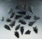 Group of 20 assorted Obsidian arrowheads found in Nevada, largest is 1 13/16