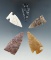 Set of 5 assorted arrowheads from the Plains region, largest is 1 7/8