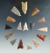 Group of 16 Plains Triangle points, largest is 1 1/4