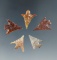 Set of 5 Columbia River gempoints, largest is 3/4