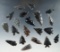 Group of 20 assorted Obsidian arrowheads found in Nevada, largest is 1 7/8