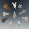 Group of 10 assorted arrowheads found in New Mexico, largest is 1 3/4