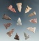 Set of 12 assorted Texas arrowheads, largest is 7/8
