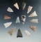 Group of 14 Texas arrowheads, largest is 1 1/4