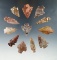 Group of 12 assorted arrowheads found by Norma Berg, largest is 1 1/2''.