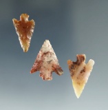 Set of 3 Columbia River Gempoints found near the Wakemap Mound, largest is 13/16