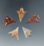 Set of 5 Columbia River gempoints, largest is 3/4