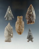 Set of 5 nice Texas arrowheads, largest is 2 1/2