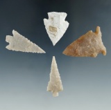 Set of 4 Texas arrowheads, largest is 1 9/16