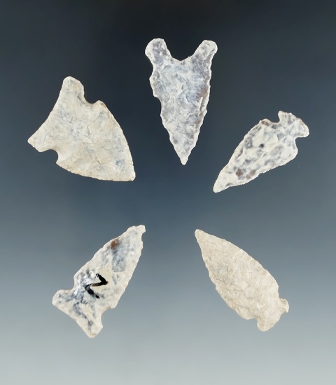 Set of 5 assorted arrowheads found in the Dakotas, largest is 1 1/2".