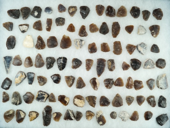 Large group of mostly Knife River Flint scrapers found in the Dakotas. Largest is 1 7/8".