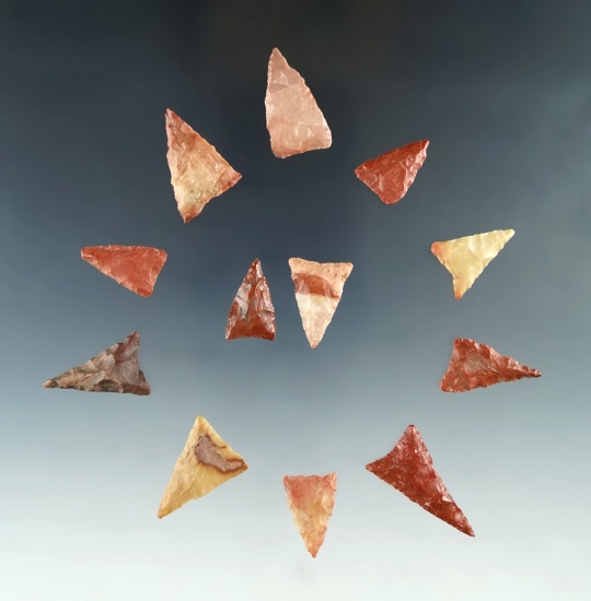 Set of 12 Triangular arrowheads found in Louisiana, largest is 1 1/8".