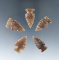 Set of five Knife  River Flint arrowheads found in the Dakotas, largest is 1 1/16