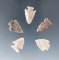 Set of five Plains area arrowheads, largest is 15/16