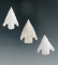 Ex. Museum! Set of three Shumla points found in Texas in very nice condition, largest is 1 1/4