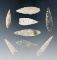 Set of eight arrowheads found in the Southwest U. S. Largest is 1 3/4