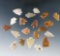 Set of 20 assorted arrowheads found in the Western U. S. Largest is 7/8