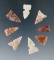 Eight sidenotch arrowheads found in Southwest U. S. Most around 3/4