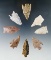 Set of eight arrowheads from various locations in the U. S. Largest is 2