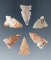 Set of six Texas arrowheads, largest is 15/16