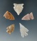 Set of five High Plains arrowheads, largest is 1 1/16