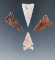 Set of four arrowheads found in the Plains region, largest is 1 1/16