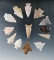 Set of 13 assorted arrowheads found in the southwestern U. S. Largest is 1 7/16