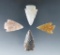 Set of four arrowheads found in Colorado, largest is 1 3/8