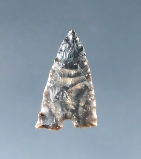 Delicate and nicely flaked 9/16" Basal Notch arrowhead found in Wyoming.