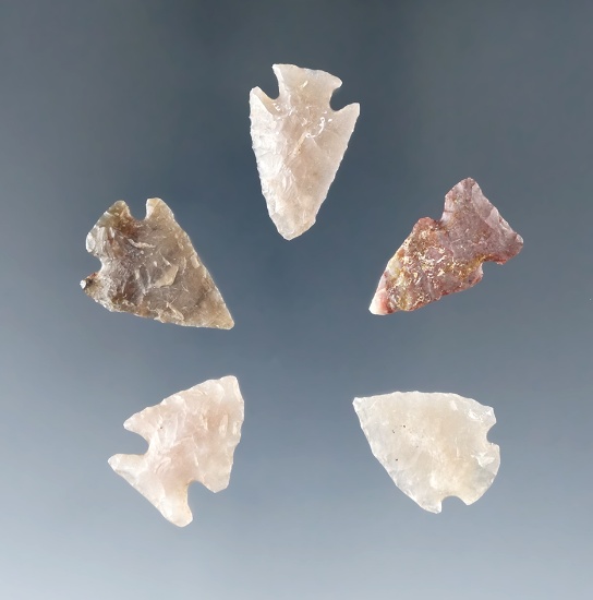 Set of five Plains area arrowheads, largest is 15/16". Ex. Bob Roth collection.