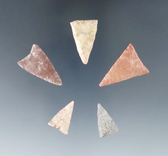 Set of five triangular arrowheads found in the Plains region, largest is 1 1/8".