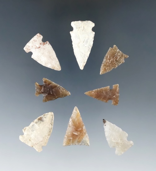 Set of eight assorted High Plains area arrowheads, largest is 1 1/8".