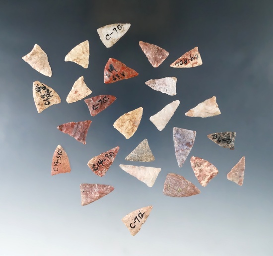 Set of 25 Texas triangular arrowheads, many are made from Alibates Flint. Largest is 7/8".