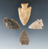 Set of four arrowheads found in High Plains region, largest is 1 13/16