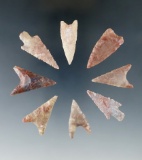 Set of eight assorted Neolithic arrowheads found in the northern Sahara desert region of Africa.