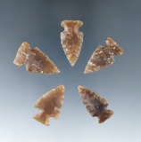 Set of five Knife  River Flint arrowheads found in the Dakotas, largest is 1 1/16