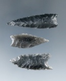 Ex. Museum! Set of three obsidian Humboldts found in Oregon, all are Ex. Charlie Shewey.