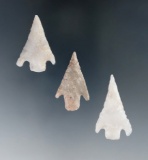 Ex. Museum! Set of three nice Shumla points found in Texas, largest is 1 3/8