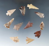 Set of 11 assorted Columbia River arrowheads, largest is 1 1/8
