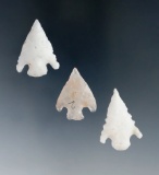Ex. Museum! Set of three nice Shumla points found in Texas, largest is 1 1/8