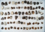 Large group of mostly Knife  River Flint scrapers found in the Dakotas. Largest is 1 1/2