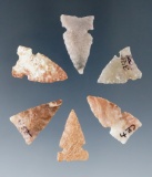 Set of six Texas arrowheads, largest is 15/16