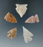 Set of five High Plains arrowheads, largest is 1 1/16