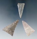 Ex. Museum! Set of four Madison Triangle points found in the Midwestern U. S. Largest is 1 3/4