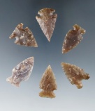 Set of six Knife  River Flint arrowheads found in the Dakotas, largest is 1 1/4