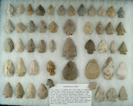 Set of 49 assorted arrowheads made from Bloomfield Chert found in north central Ohio.